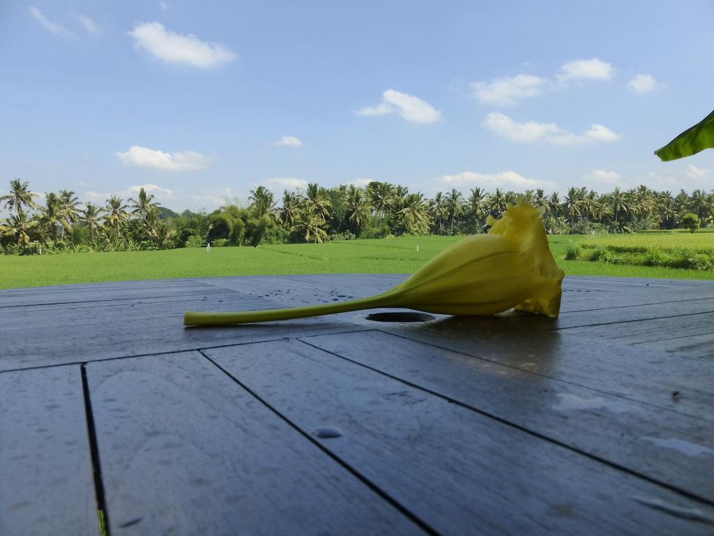Bali Harmony *