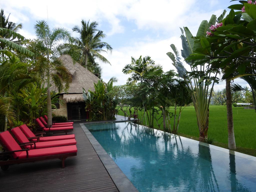 Bali Harmony